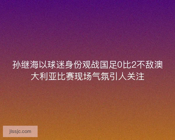 孙继海以球迷身份观战国足0比2不敌澳大利亚比赛现场气氛引人关注