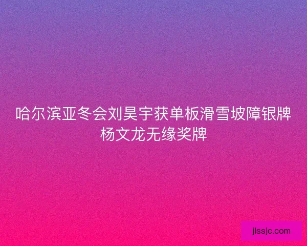 哈尔滨亚冬会刘昊宇获单板滑雪坡障银牌杨文龙无缘奖牌